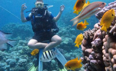 Дайвинг Superior (2 погружения)