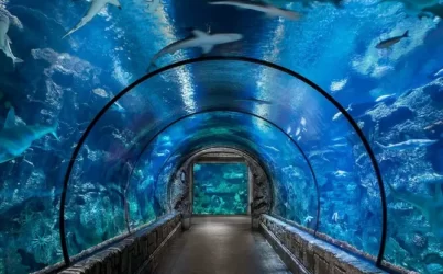 Гранд аквариум