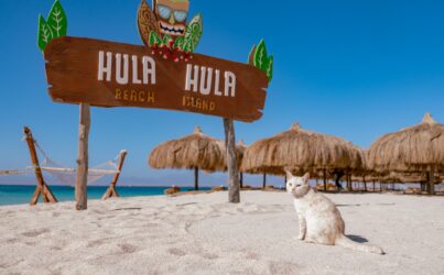 Супер Хула Хула