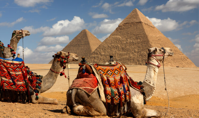 pyramids and camels