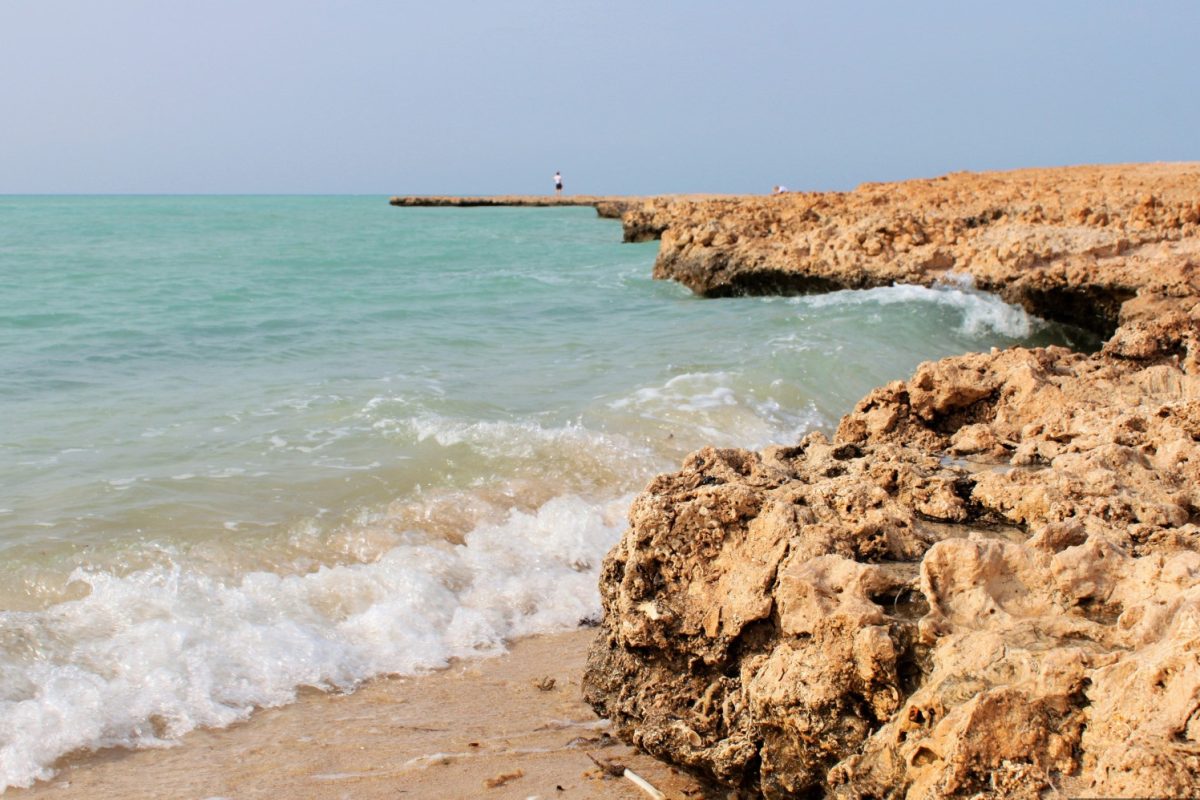 Рас Мохаммед (автобус) - 2