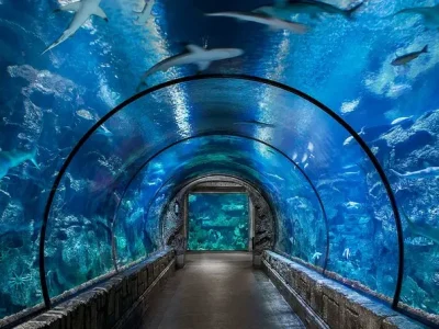 Гранд аквариум