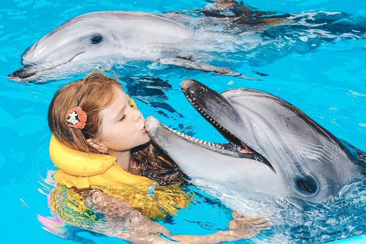 Дельфинарий - 2