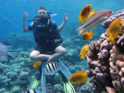 Дайвинг Superior (2 погружения)