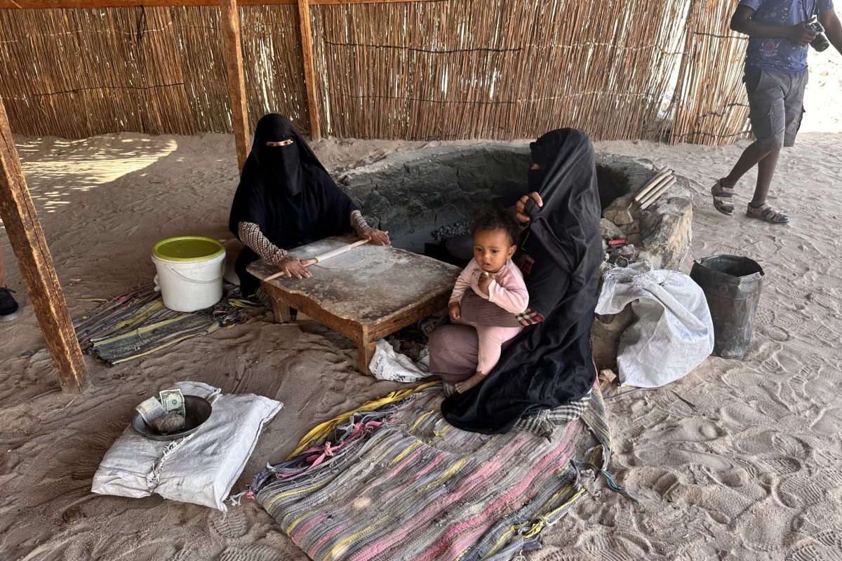 Сафари дискавери - 3