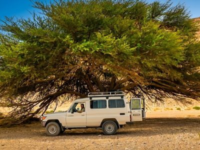 Джип сафари к бедуинам