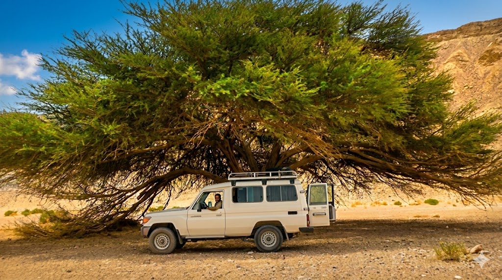 Джип сафари к бедуинам